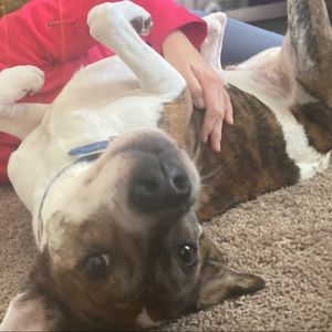 Meet your Posher, Cara